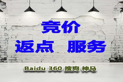 网站SEM托管服务成功案例分享